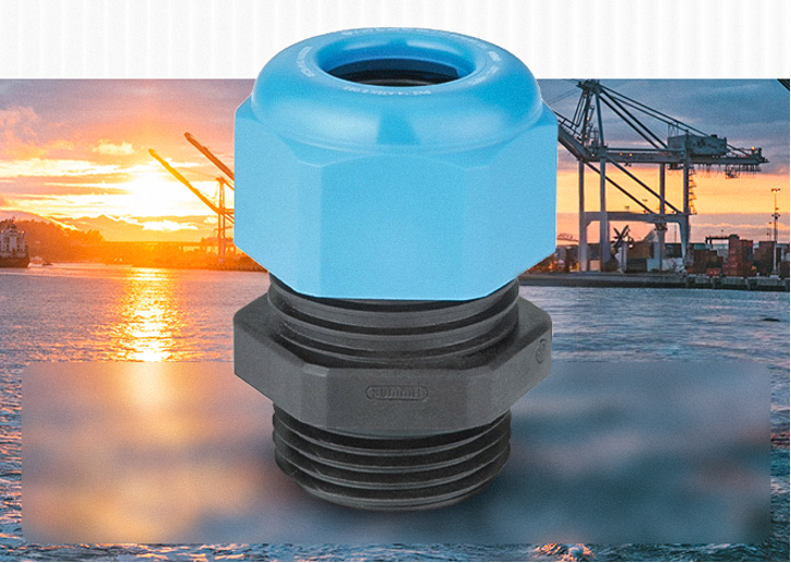 Close-up of a blue plastic cap on a gray threaded industrial pipe fitting, with a waterfront port and cranes in the sunset background.
